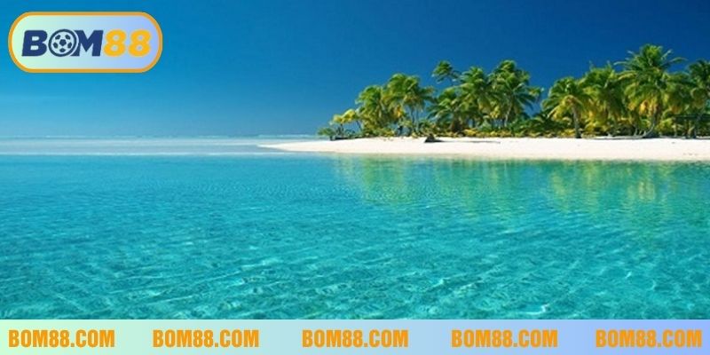 Những con số may mắn đi kèm với giấc mơ về biển